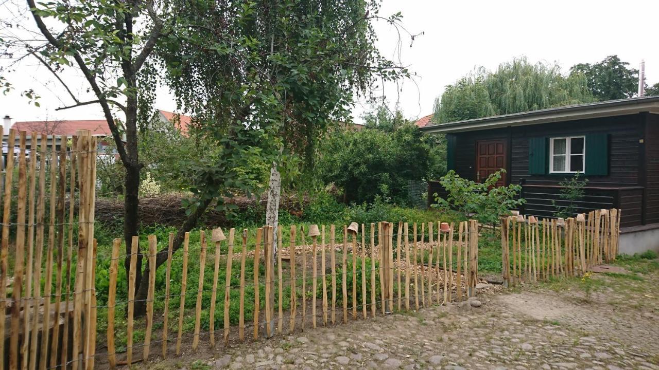 شقة Huette Mit Herz Im Harz Meisdorf المظهر الخارجي الصورة
