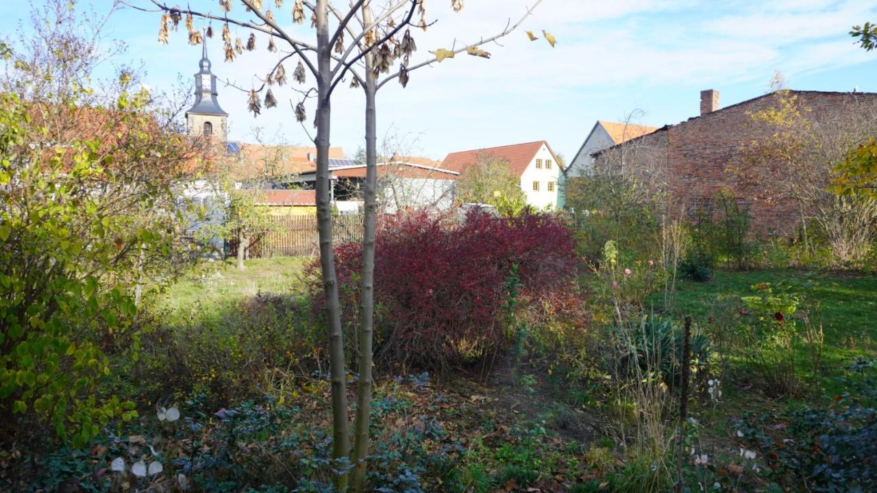 شقة Huette Mit Herz Im Harz Meisdorf المظهر الخارجي الصورة